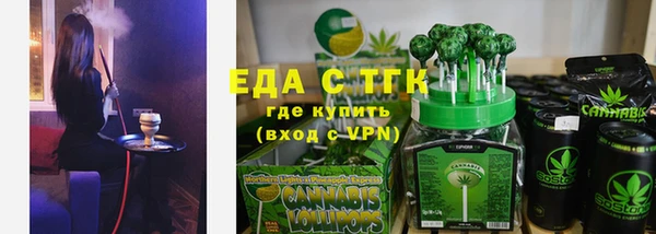 шишки Магас