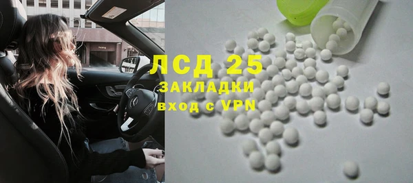 шишки Магас