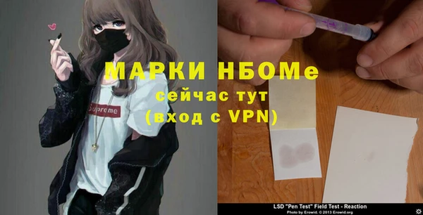 стафф Майский
