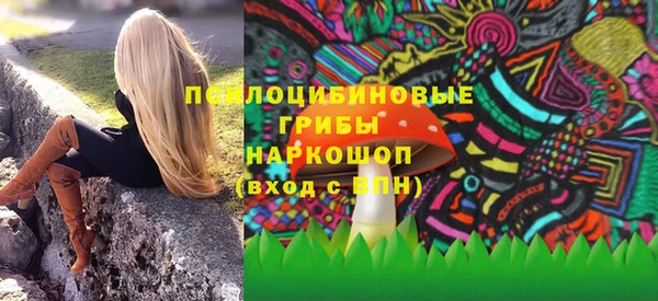 шишки Магас