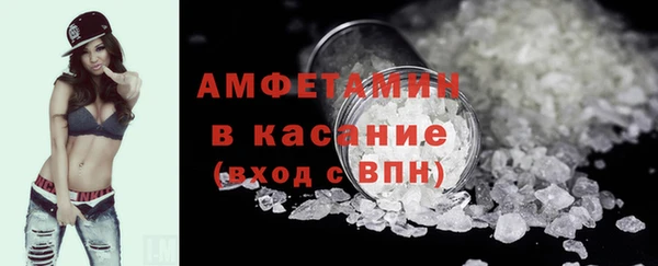 шишки Магас