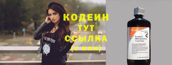 шишки Магас