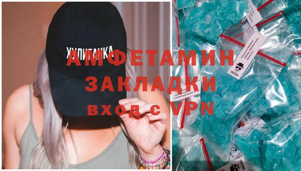 шишки Магас