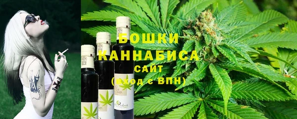 шишки Магас
