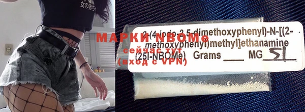 шишки Магас