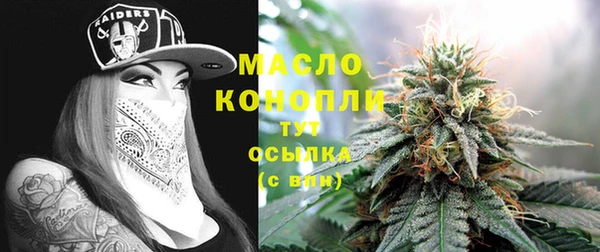 шишки Магас