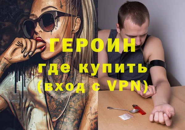 шишки Магас