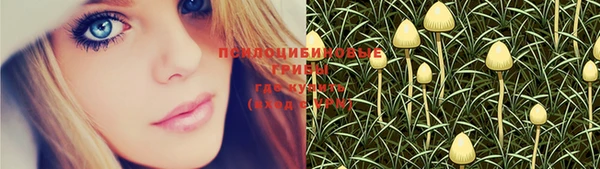 стафф Майский