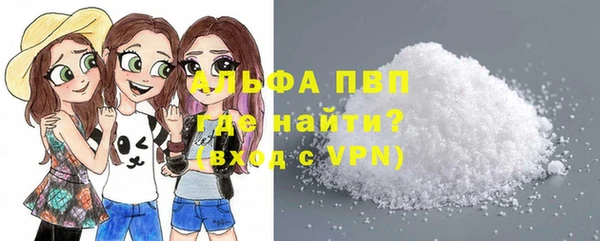 шишки Магас