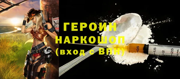 шишки Магас