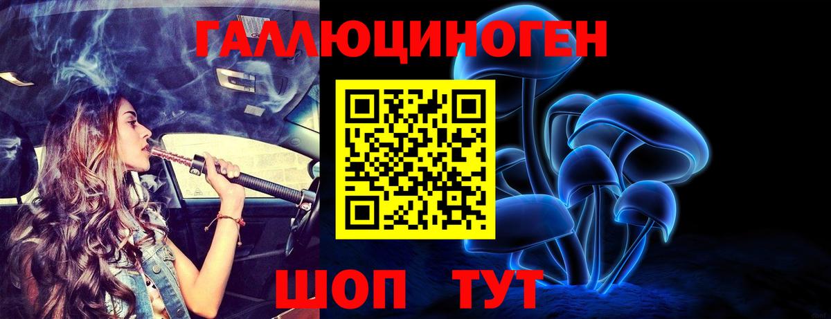 Псилоцибиновые грибы мицелий Каменск-Шахтинский