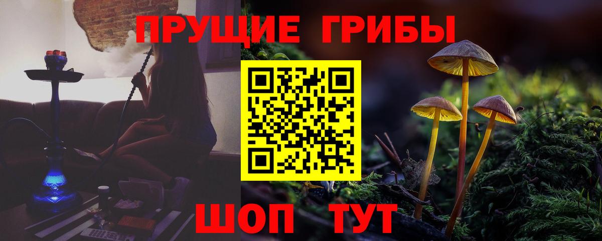 Галлюциногенные грибы мухоморы  Псилоцибиновые грибы прущие грибы  Каменск-Шахтинский  наркота  Вход с VPN 